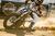 jared mees flat track action