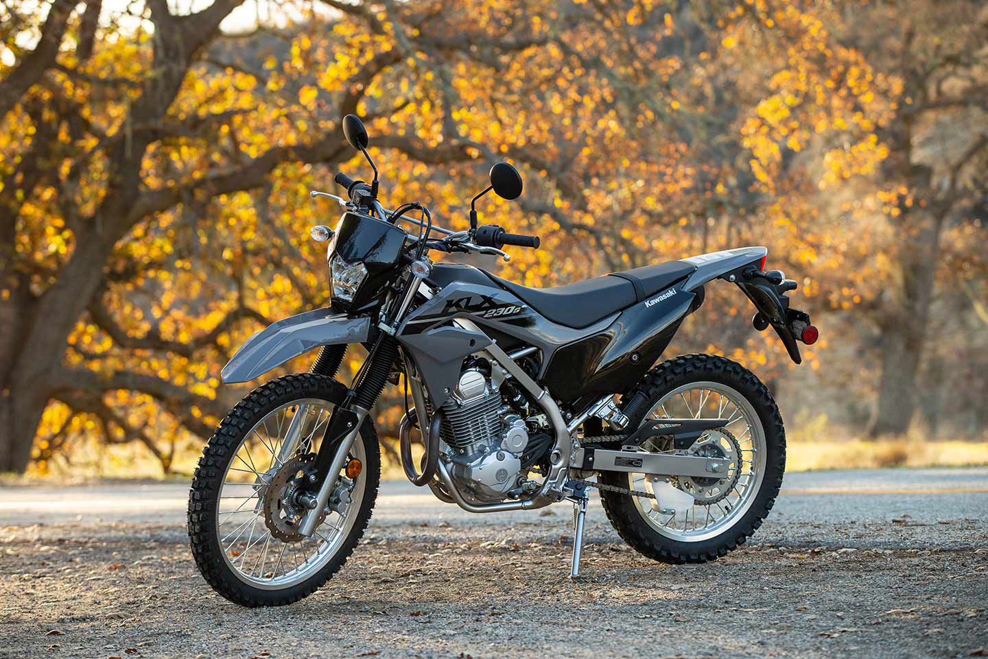 Kawasaki klx sales 230 dual sport