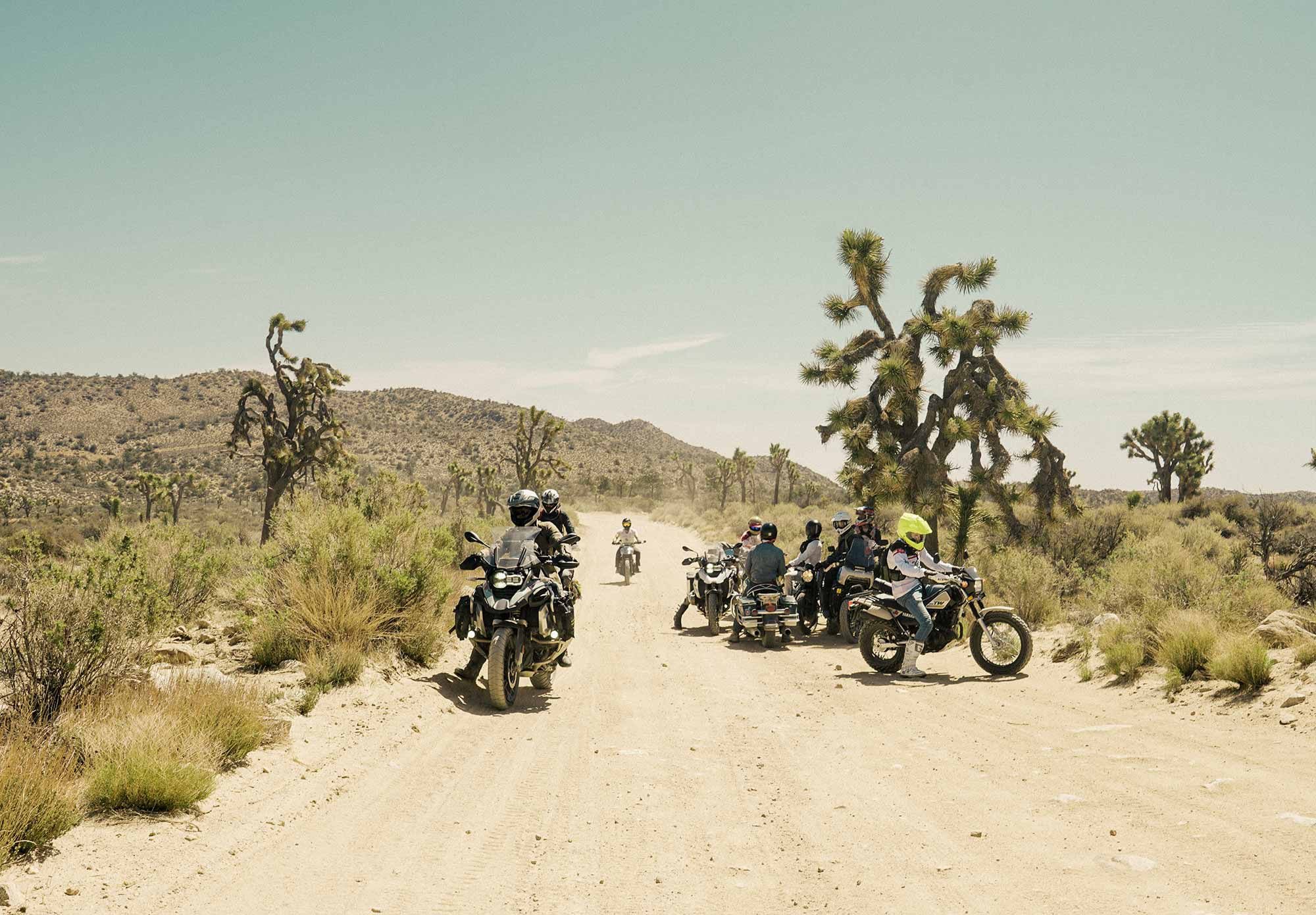 Big adventure bikes, scramblers, and of course Fox on his Road King.