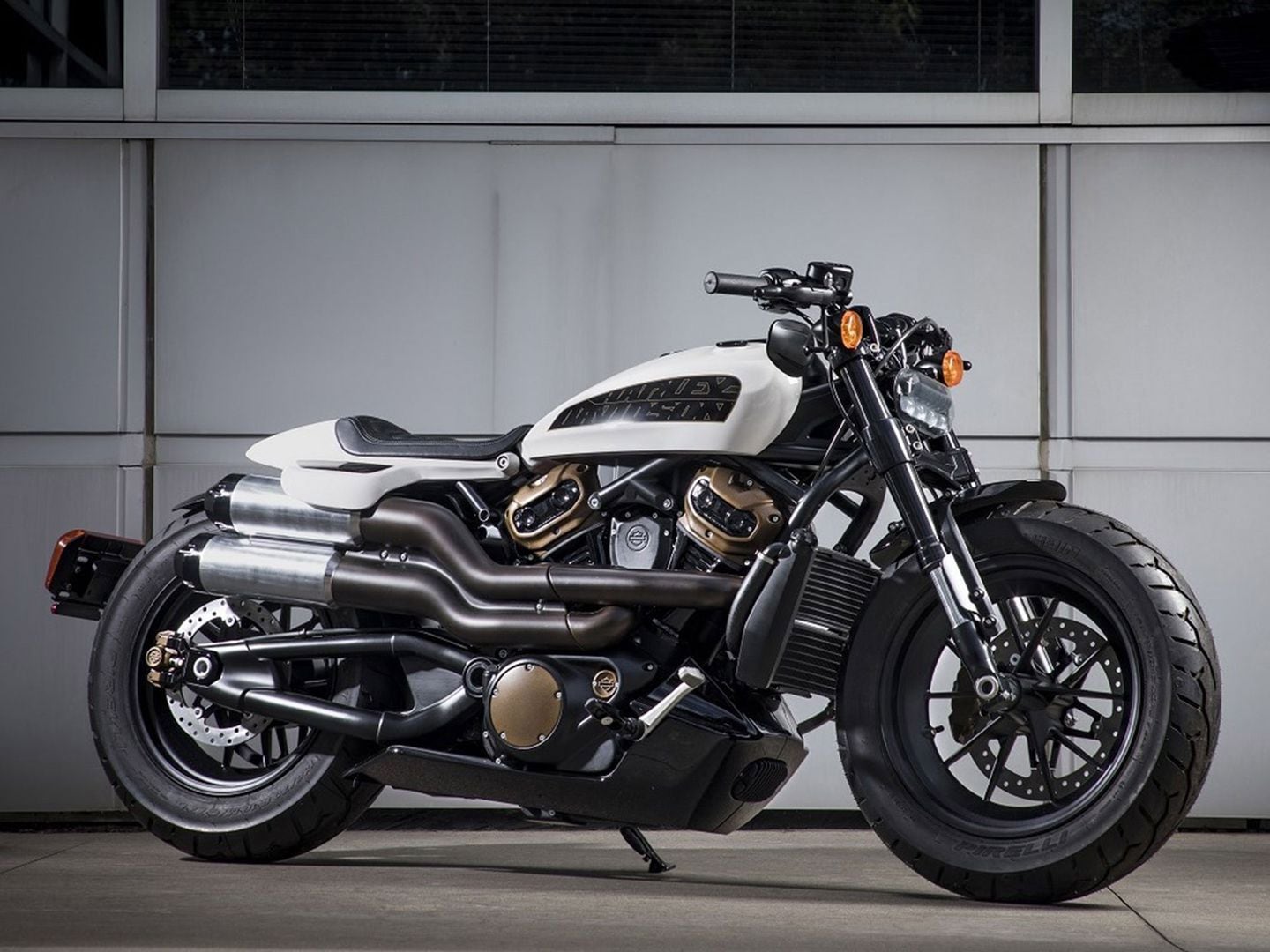 Harley Davidson Naked Model