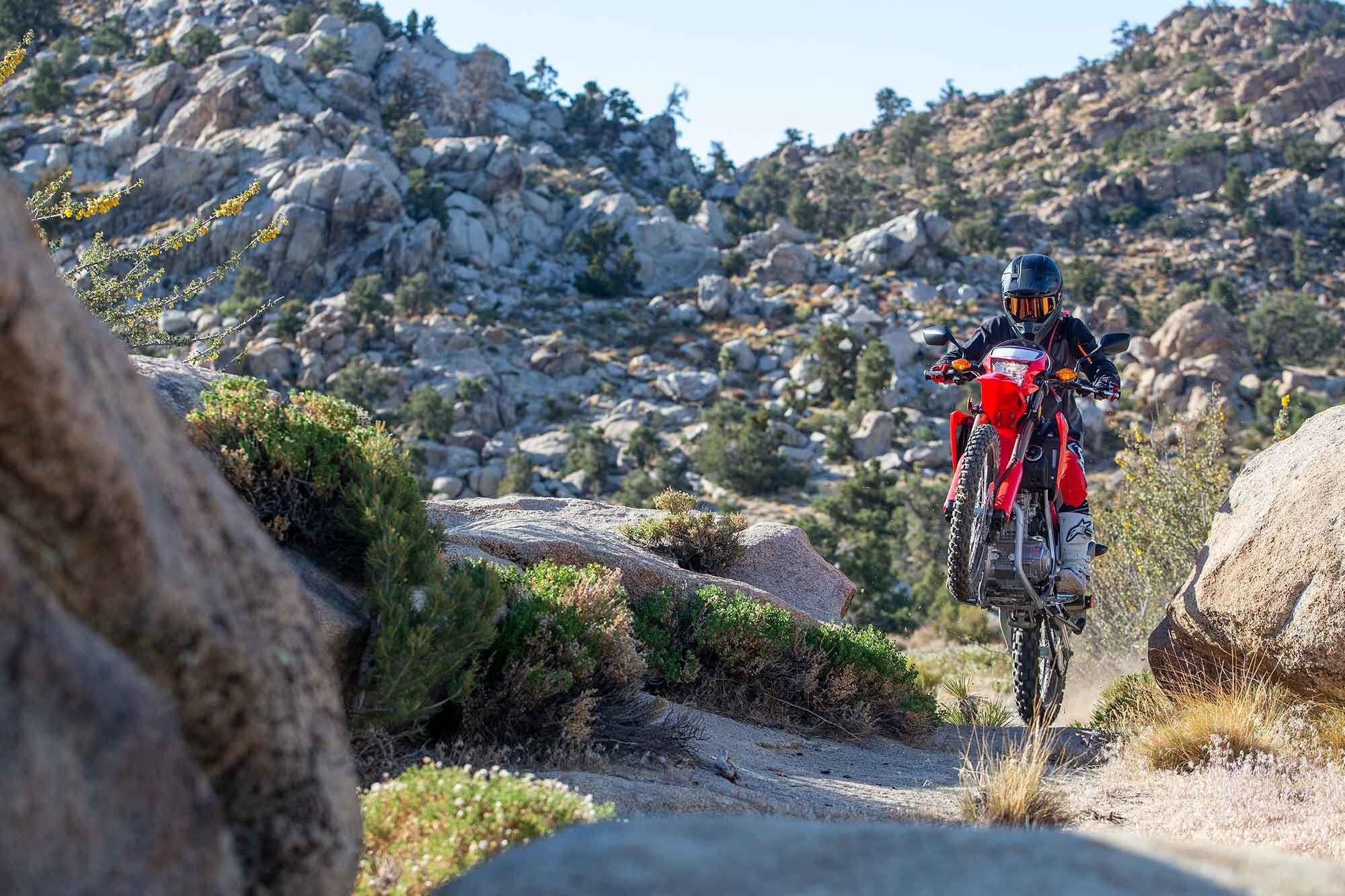 For a price tag of $5,249, the CRF300L offers a lot of bang for your buck. It feels very refined, is a joy to ride, and is an excellent option for riders looking to get into dual sport riding or motorcycles in general.