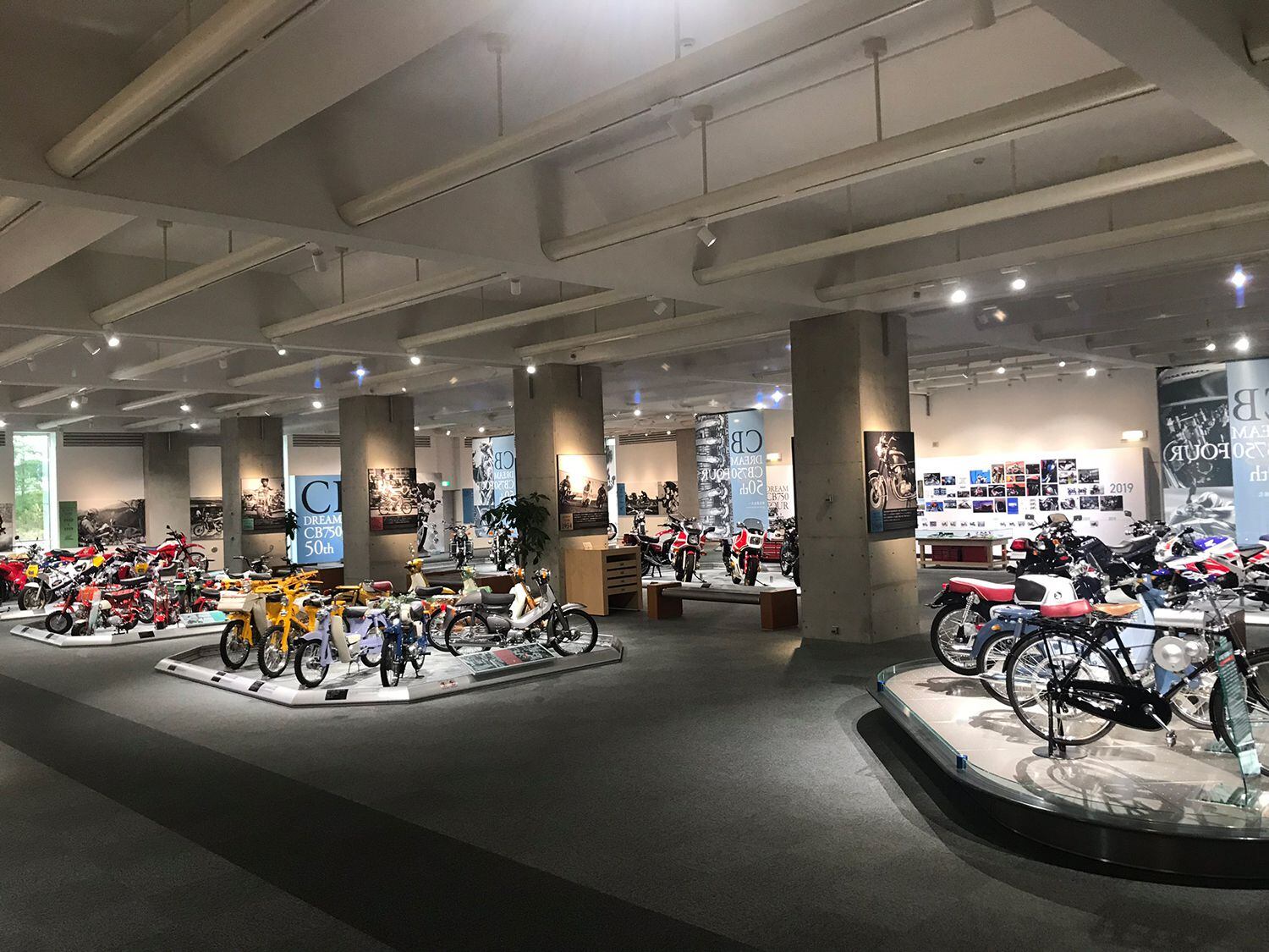 hall's motorsports honda
