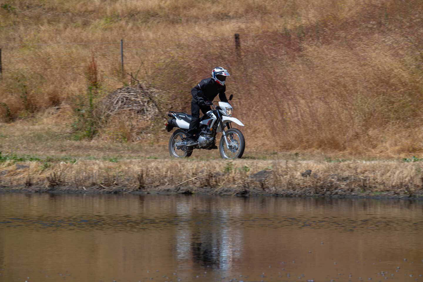 When the pavement ends, the fun doesn’t stop. The 2023 Honda XR150L provides a comfortable ride across a variety of terrain.