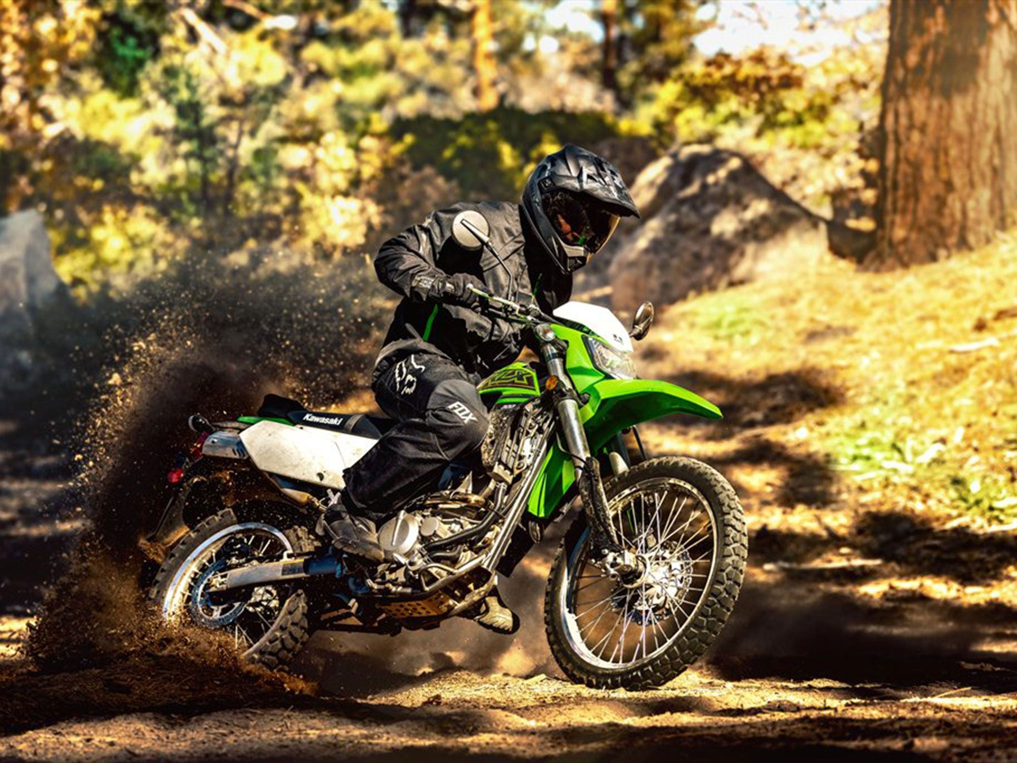 2021 Kawasaki KLX300