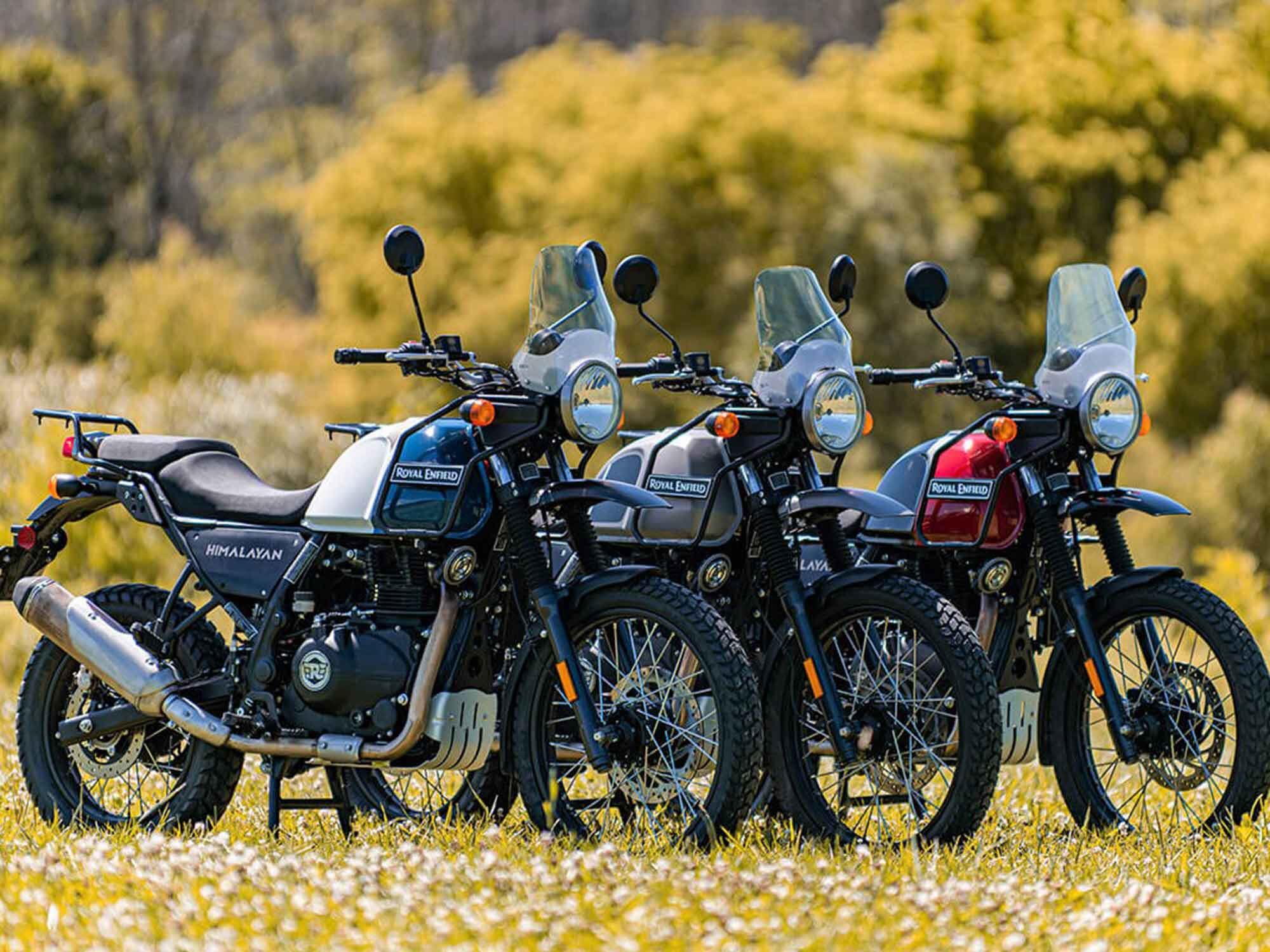 The Himalayan: light adventure or heavy scrambling? Yes.
