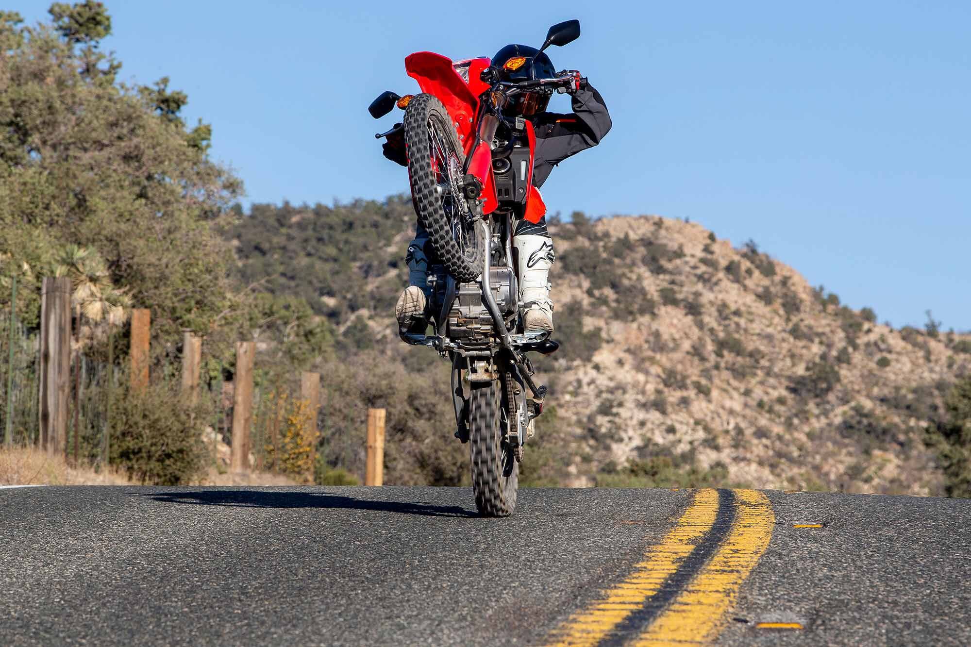 Raise it up. The CRF300L makes an excellent commuter.