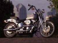 1999 springer softail new arrivals