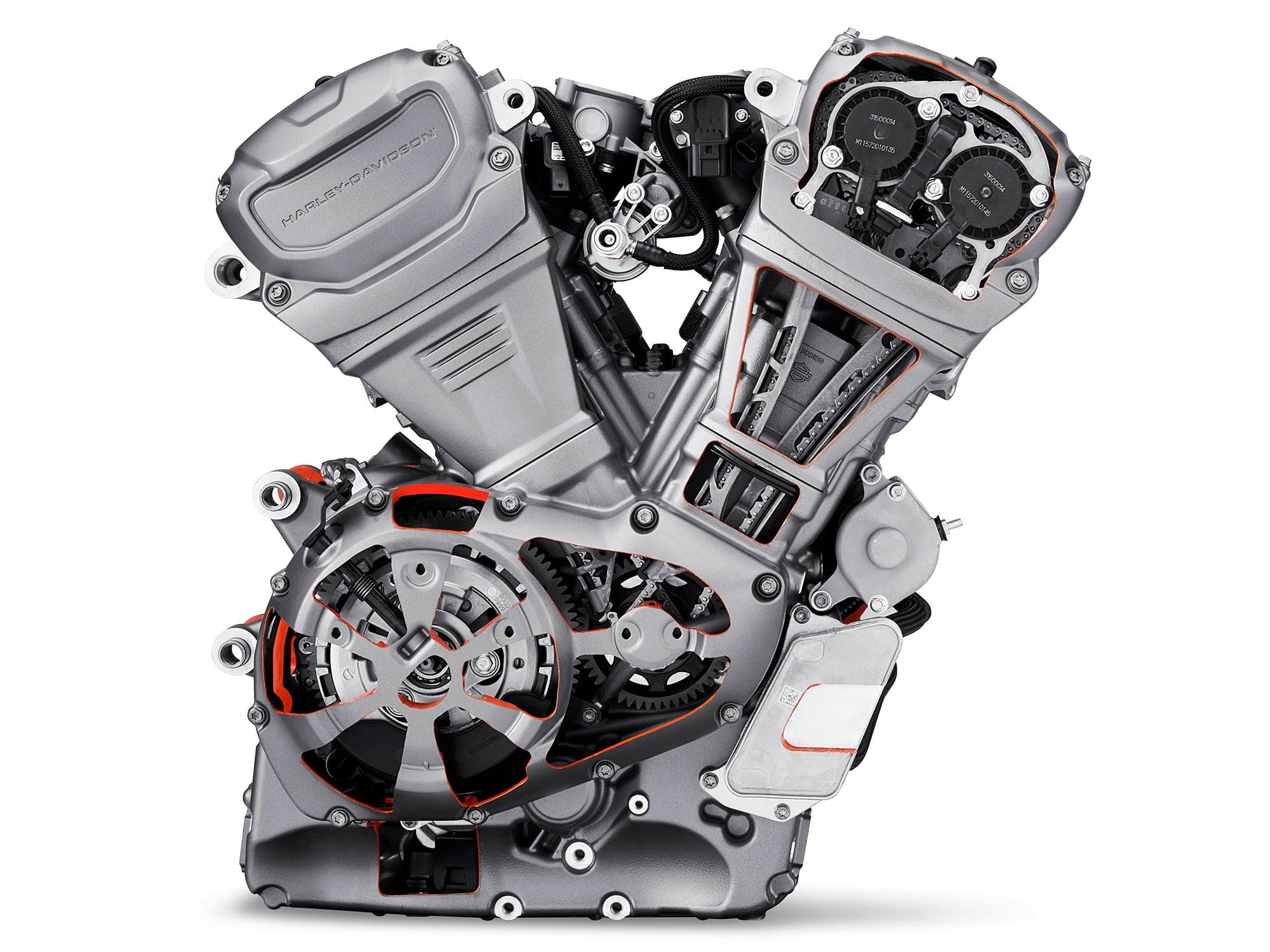 Both models ride on the same foundation, with the liquid-cooled Revolution Max 1250 as a stressed member of the chassis.