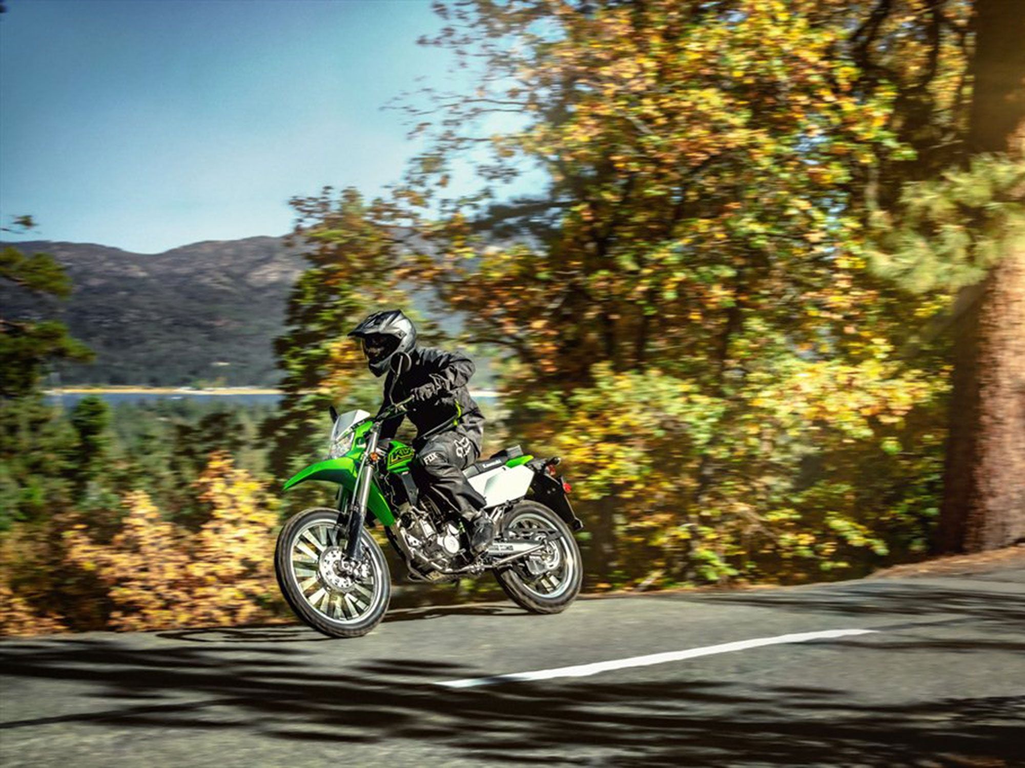 2021 Kawasaki KLX300