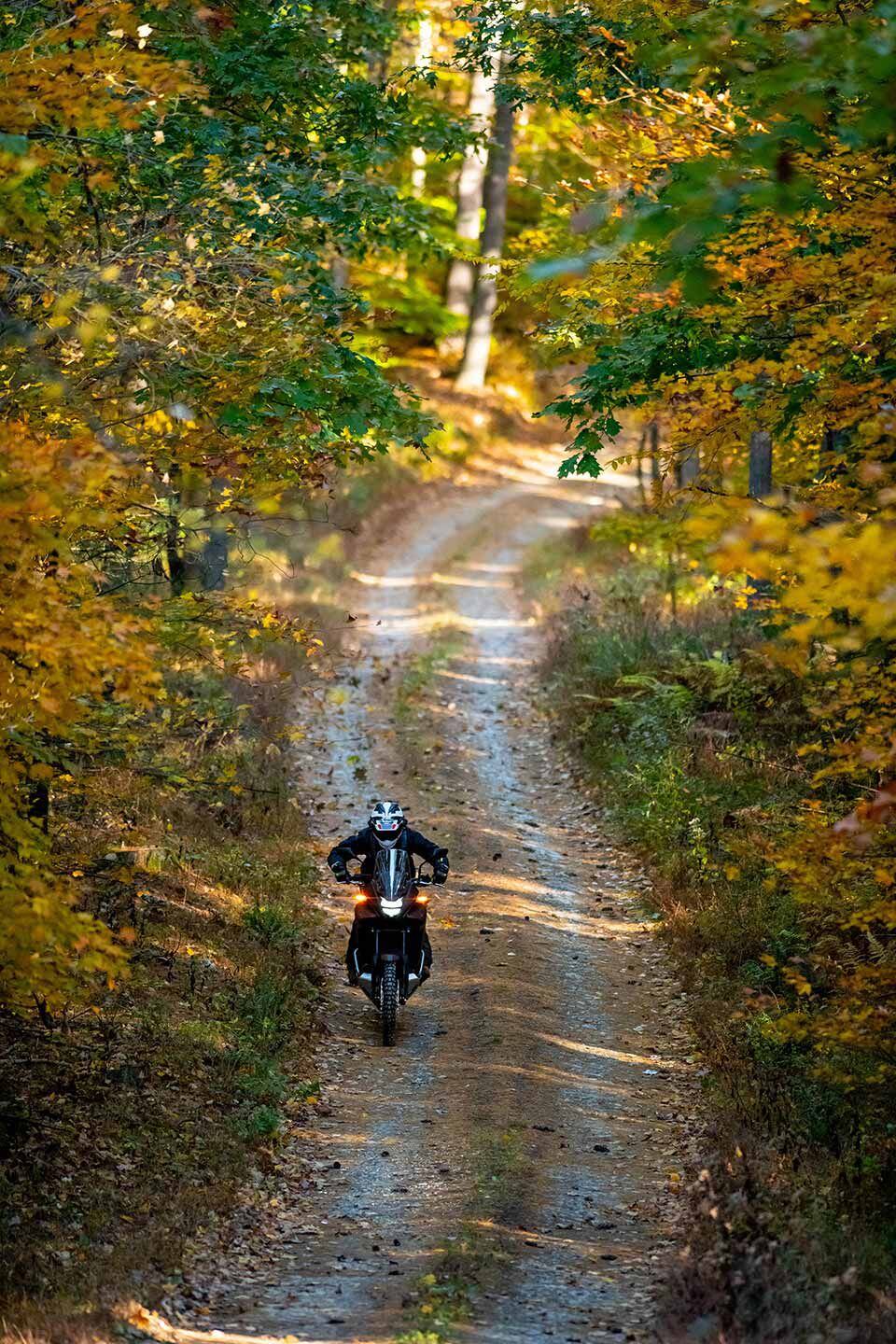 Our ride on the PA Wilds BDR-X offered amazing views in late October.