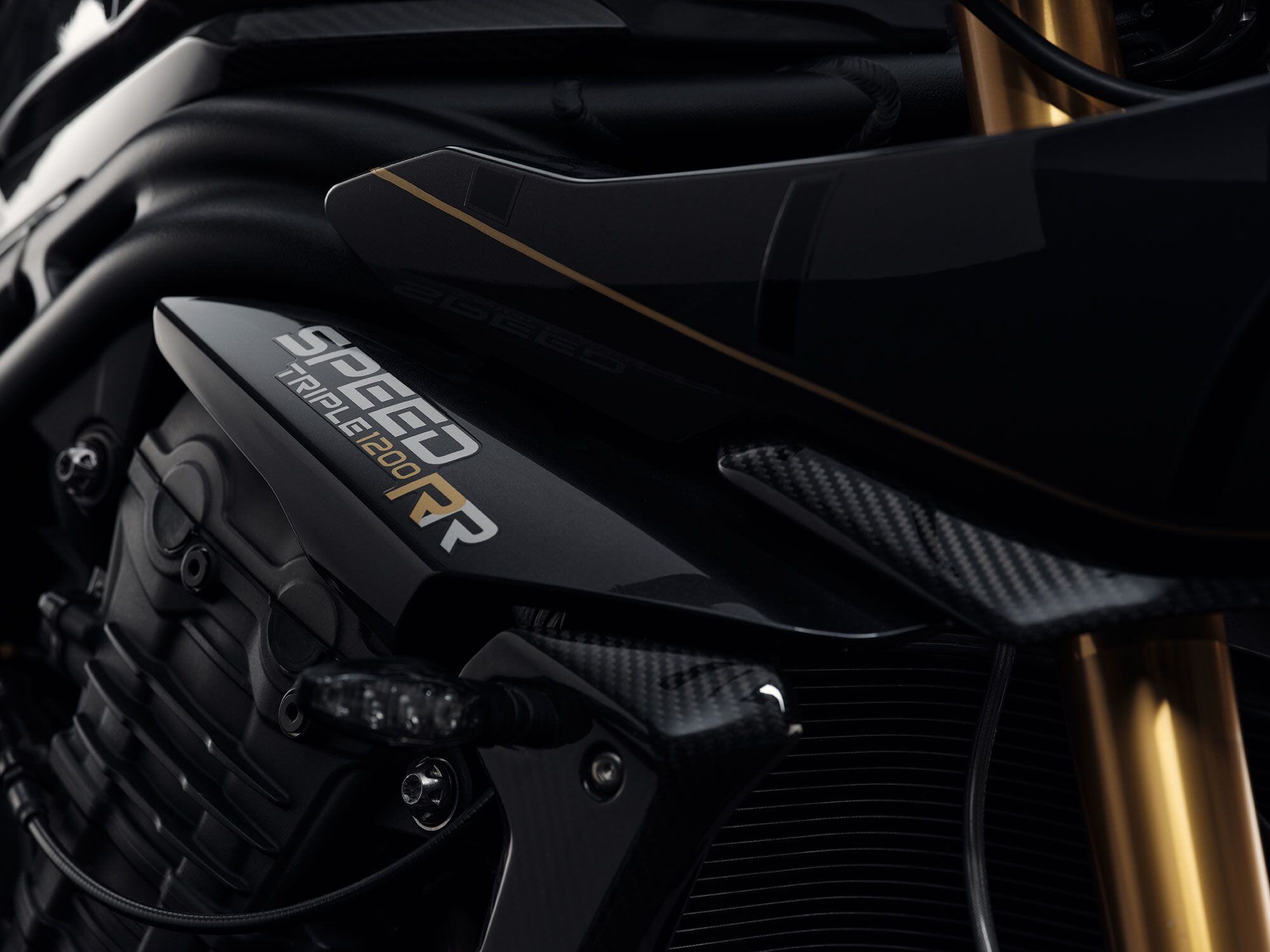 Gold lining is used throughout the body of the Speed Triple RR Bond Edition.