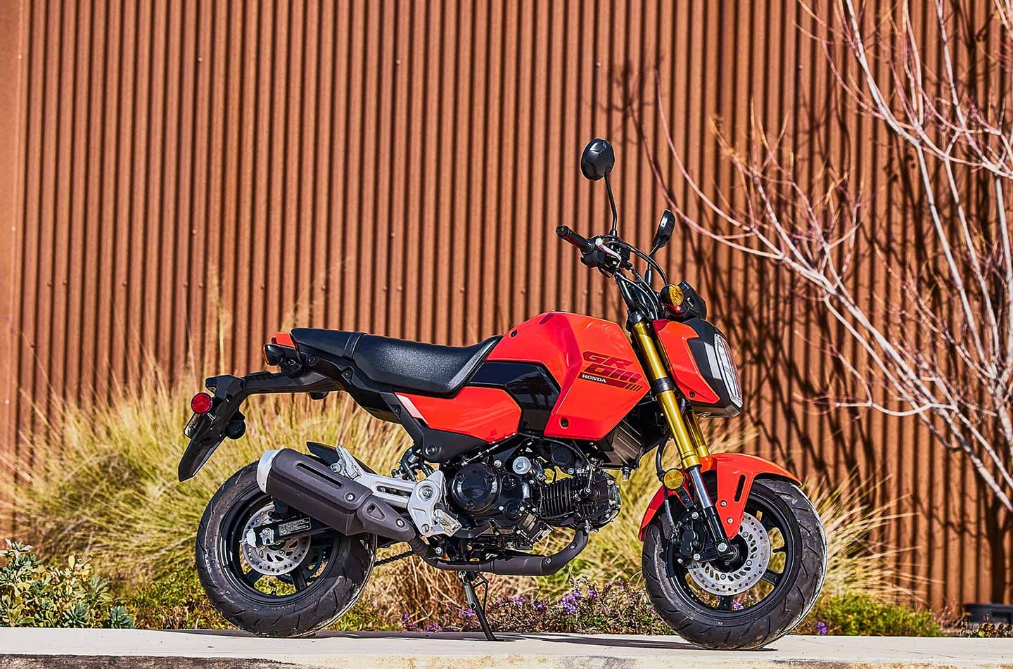 New look, who’s this? The 2025 Grom promises the same good times as before but wears new body panels to separate itself from last year’s bike.