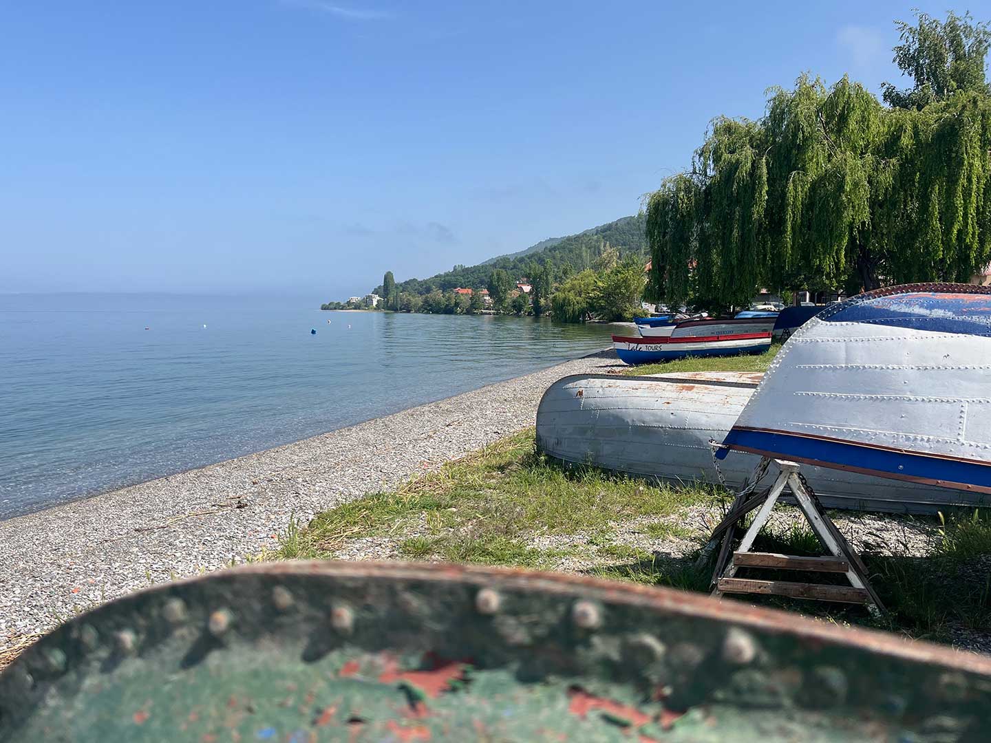 Lake Ohrid in North Macedonia is one of the world’s ancient lakes, home to roughly 200 endemic species.