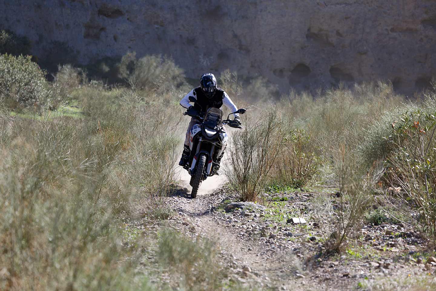 BMW’s F 900 GS’s planted front end lets you charge hard.