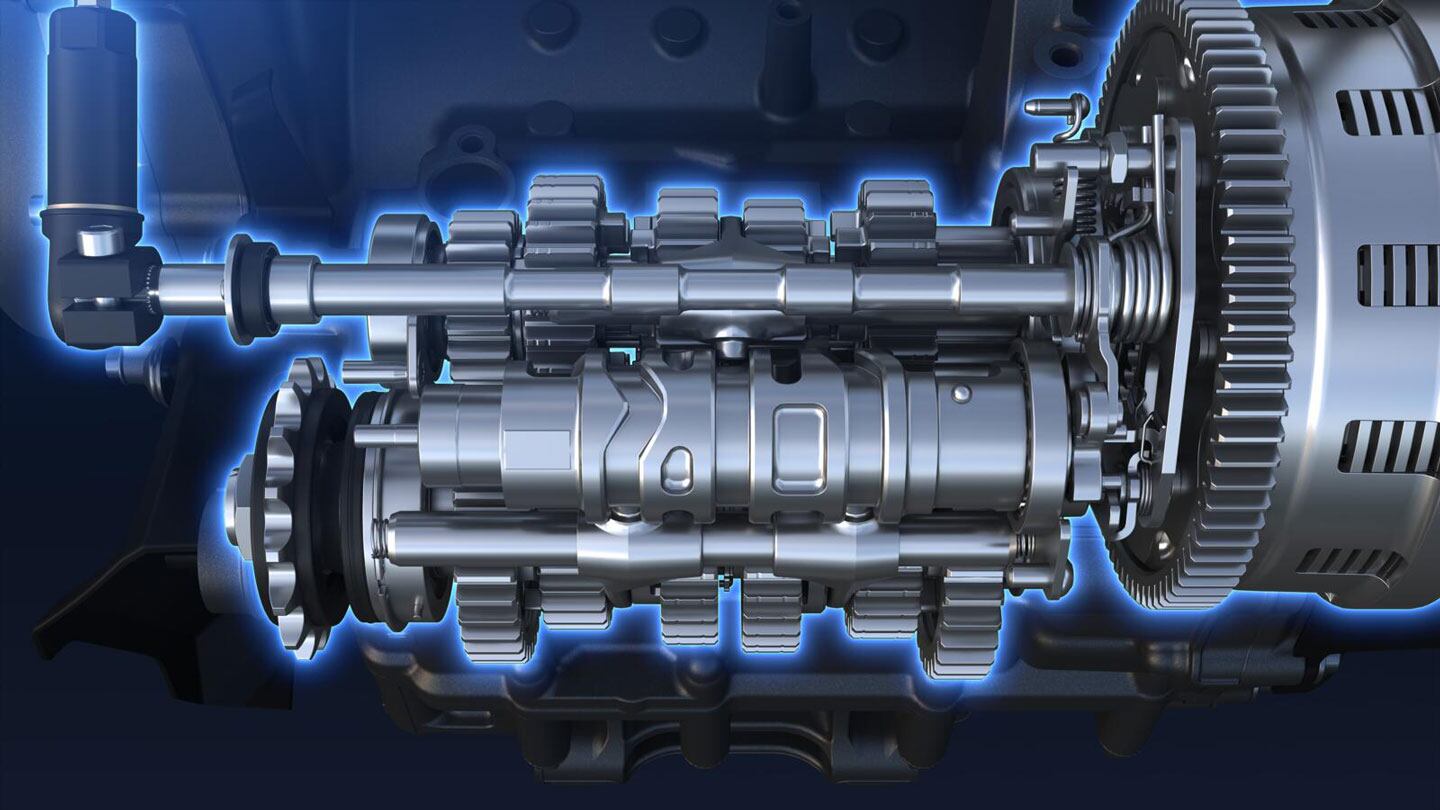 Transmission shafts and shift drums.