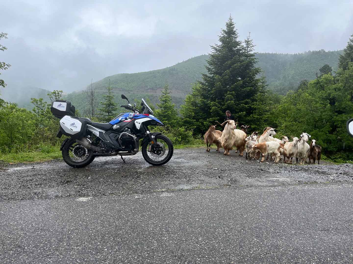 A damp morning in Albania on the SH22.