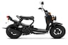 2025 Honda Ruckus studio right side profile
