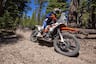 2025 KTM 390 Adventure R riding on single track through forest