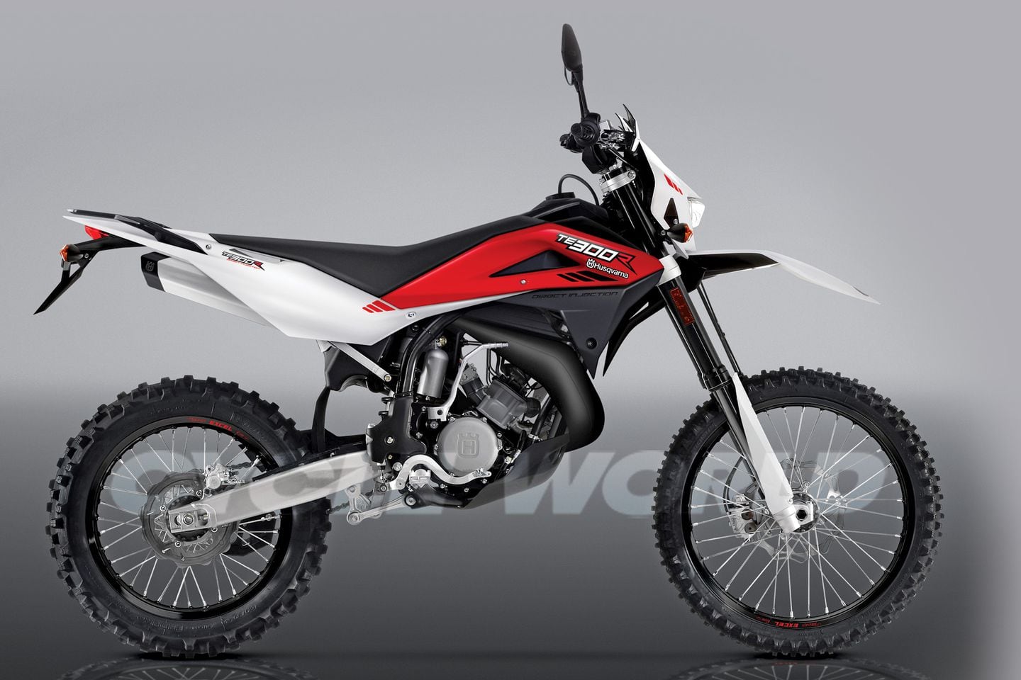 two stroke dual sport