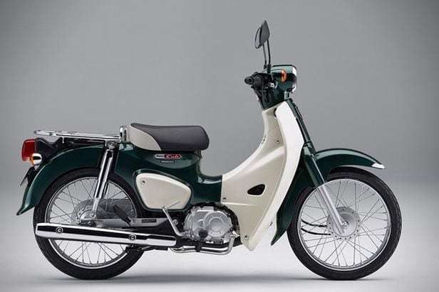 Honda on sale cub 50cc
