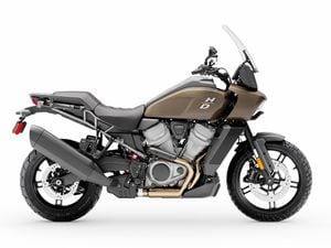 Harley enduro 2021 new arrivals