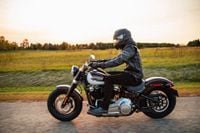 2021 harley davidson slim discount