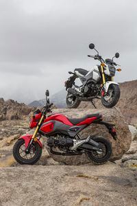 Honda Grom Off Road Adventure Motorcycle Fun Trip Cycle World