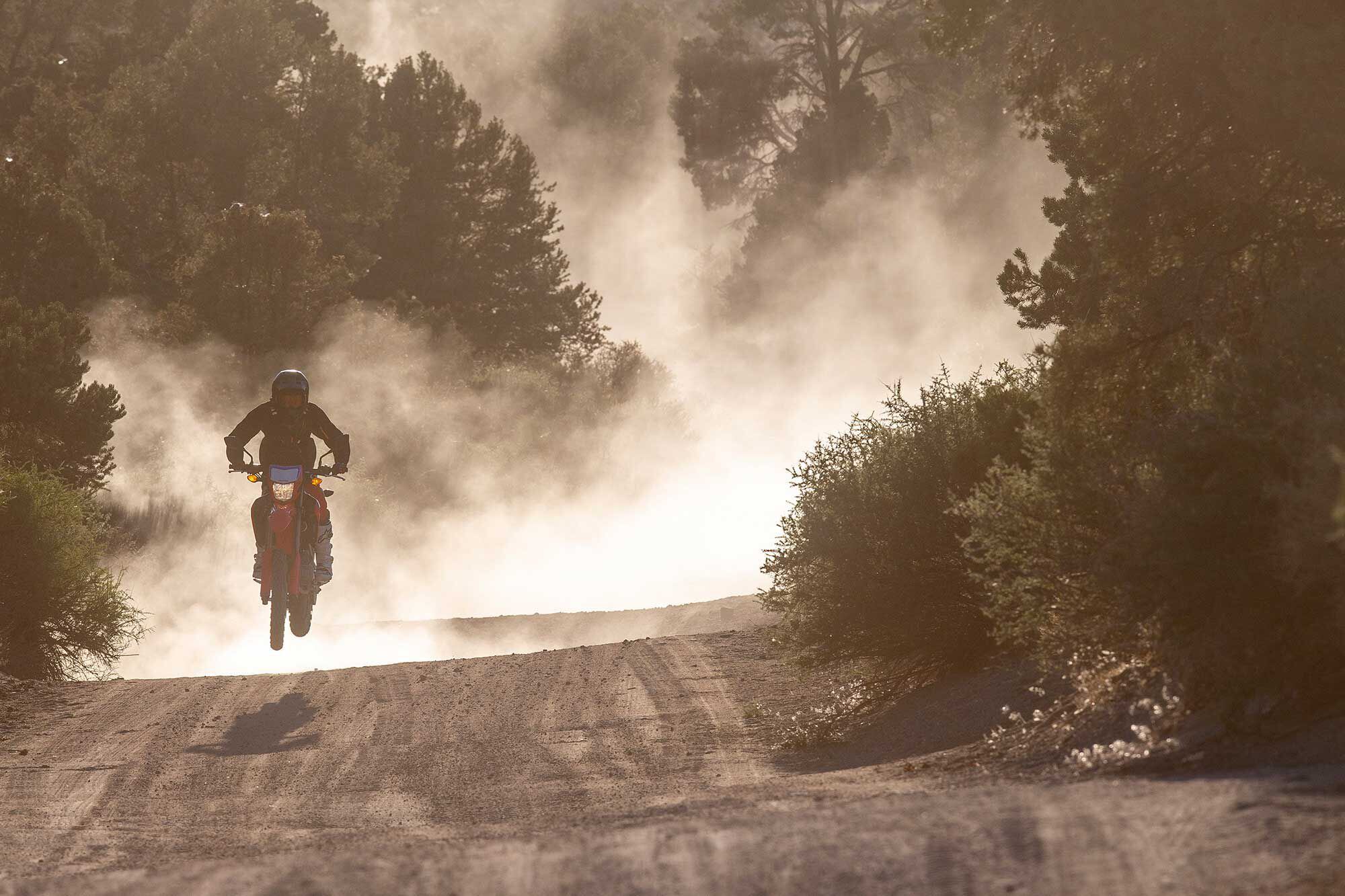 Air time typically results in bottoming. We understand the CRF300L is not intended to be ridden too aggressively but having damping adjustments would make the Showa suspension and the entire bike better as a whole.