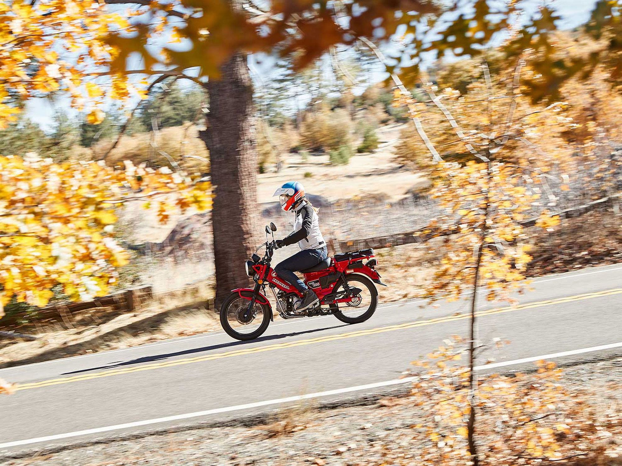 2021 Honda Trail 125